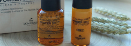 The Skin House Dr.Clear Magic Amazon Powder Spot