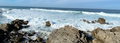 Tommy Hilfiger Woman Pear Blossom EDP