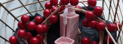 Estee Lauder Pure Color Envy Lip Volumizer