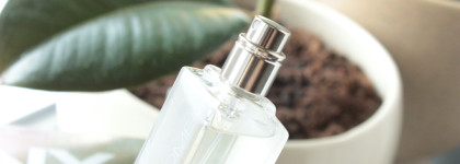 Лед & Пламя. Нет, пожалуй только лед - DKNY Women EDP