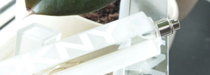 Лед & Пламя. Нет, пожалуй только лед - DKNY Women EDP