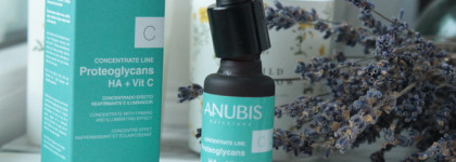 Anubis Barcelona Proteoglycans HA + Vit C Concentrate