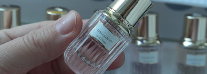 Estee Lauder Small Wonders Collection