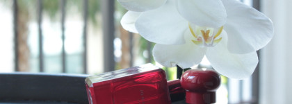 Jo Malone Scarlet Poppy Cologne Intense