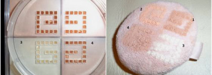 Givenchy в моей косметичке