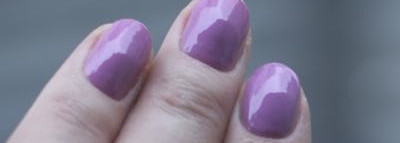 Мои рабочие лошадки породы O.P.I