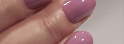 Мои рабочие лошадки породы O.P.I