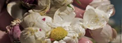 История о том, как я вырастила ногти