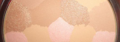 Мой верный друг и помощник- Бронзирующая пудра Guerlain Terracotta Light Bronzing Powder и ее напарник кисть Guerlain Terracota