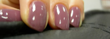 Drama Dolce & Gabbana вовсе и не Драма, а осенняя прелюдия