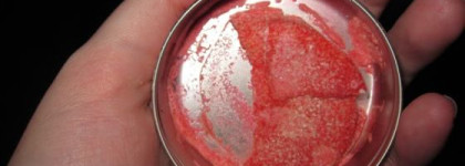 Годовой отчет об уходе за волосами с помощью средств Lush