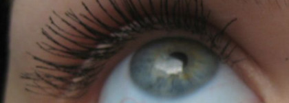 MaxFactor 2000 Calorie Curved Brush