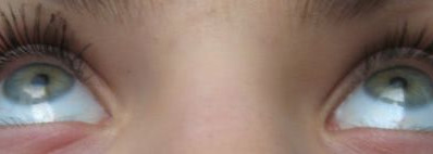 MaxFactor 2000 Calorie Curved Brush