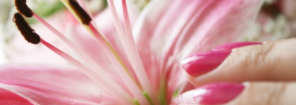 Лак для ногтей Rimmel 60 seconds (250 Pink Punch)