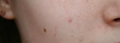 Обзор bb кремов от Skinfood: Mushroom Multi Care BB Cream Spf20/pa+, Aloe Sun BB Cream Spf20/pa+