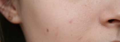 Обзор bb кремов от Skinfood: Mushroom Multi Care BB Cream Spf20/pa+, Aloe Sun BB Cream Spf20/pa+