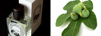 Мои любимые мотивы в ароматах