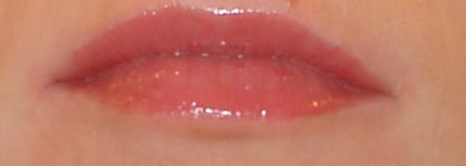 Chanel brilliant levres lipgloss vs Shiseido lip gloss touch brilliance levres