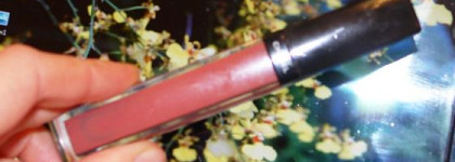 Chanel brilliant levres lipgloss vs Shiseido lip gloss touch brilliance levres