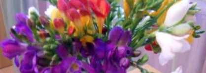 Долгожданные тени Beyu Trio Galaxy или подстава в Рив Гош