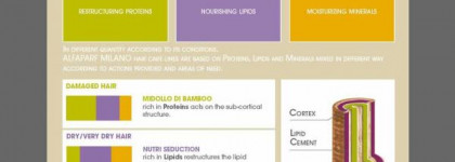 Alfaparf процедуры