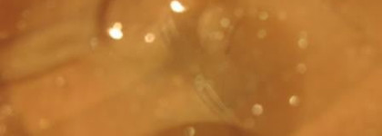 Бриллиантовый уход с продуктами Alfaparf Semi di Lino