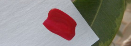 Мое открытие - лак для ногтей Brooklin Premium