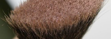 Весеннее обострение