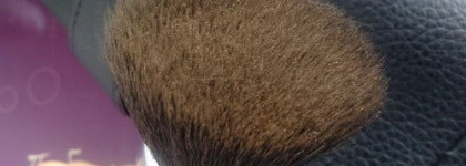 Guerlain Terracota Light Sheer Bronzing Powder №02 (Brunettes)