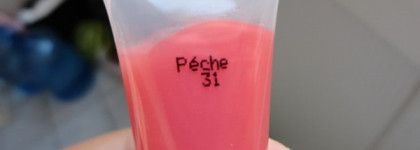 Персиковый сок с Lancome Juicy Tubes Ultra Shiny Hydrating Lip Gloss, №31 Peche