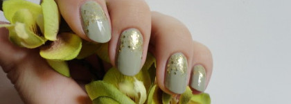 Чешуя дракона