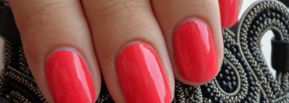 Отличники O.p.i