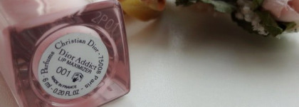 Dior Addict Lip Experts Duo