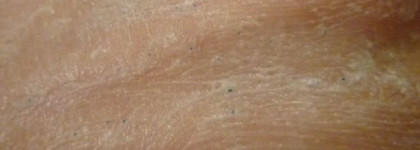 Приятная находка! Уход за телом от Ahava