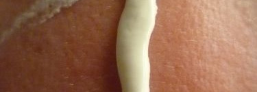 Новички в моём уходе!