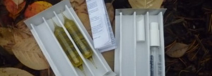 Мой самый эффективный уход за волосами и кожей головы. Часть 2