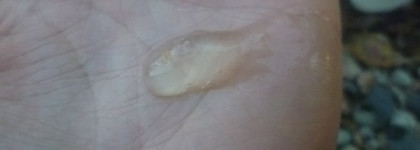 Шоппинг в мае и июне