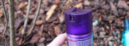 Стайлинг волос или мои победители