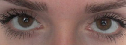 Эксперимент с праймерами под тушь