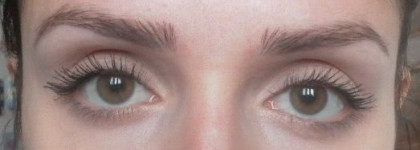 Эксперимент с праймерами под тушь