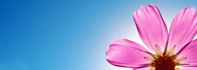 Розовая пантера или сюрприз от Dance Legend