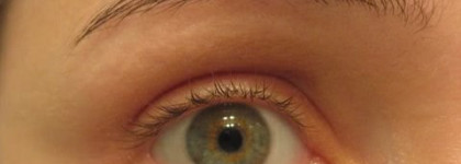 Обзор моих средств для фиксации бровей