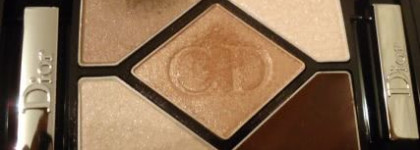 Dior - архитектура взгляда #508 & #808