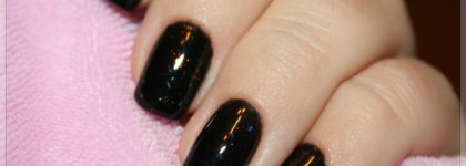 Schellac Cnd- Black Pool & Zillionaire
