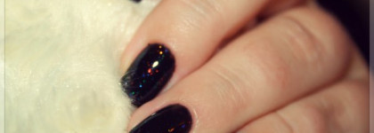 Schellac Cnd- Black Pool & Zillionaire