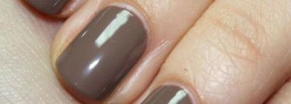 Квартет Golden Rose