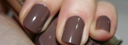 Квартет Golden Rose