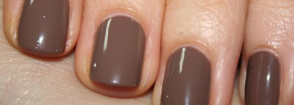 Квартет Golden Rose