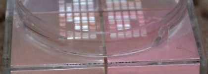 Моя "четвёрка" от Givenchy Prisme Libre Air Sensation Loose Powder Quartet