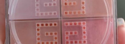 Моя "четвёрка" от Givenchy Prisme Libre Air Sensation Loose Powder Quartet